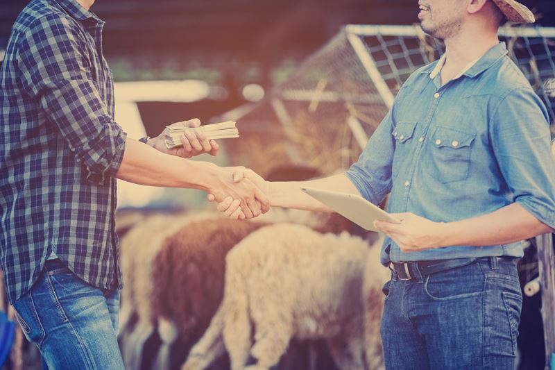 Agricultural loans fcsb