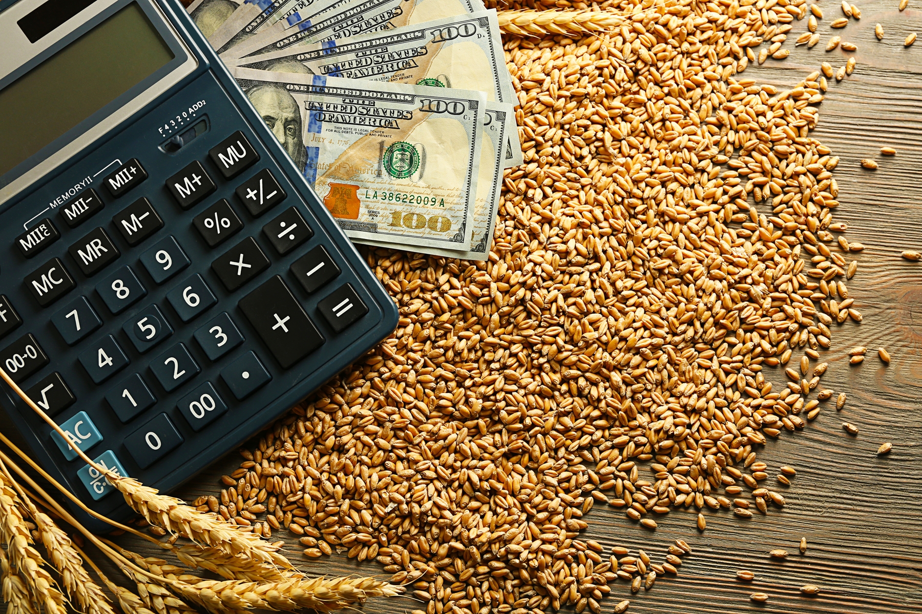 Calculator and Money atop a pile of wheat and seeds