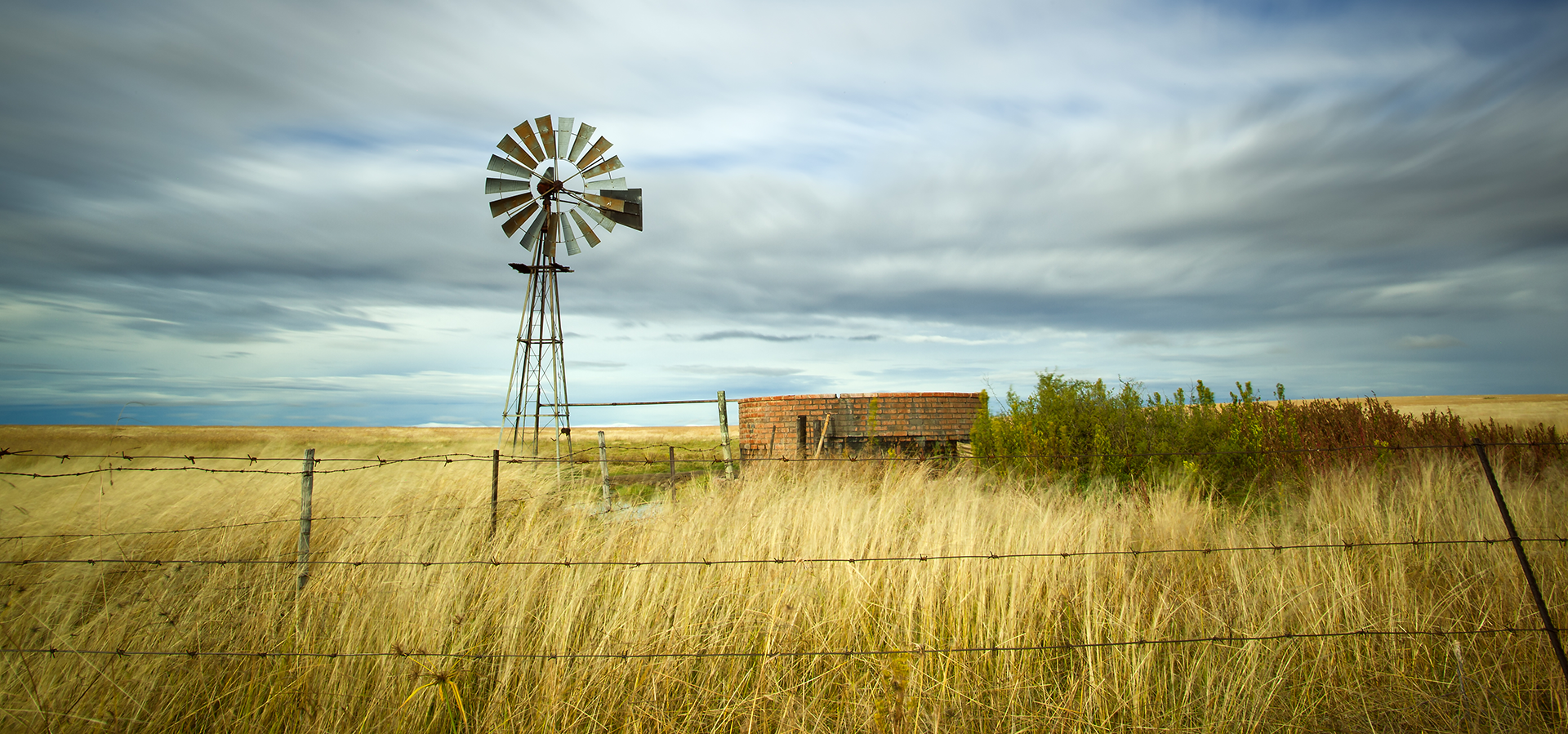 Windmill in a wheat field