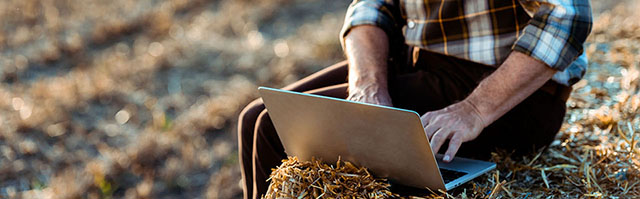 A farmer on a haystack on his laptop